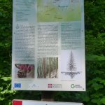 Bacheca informativa e segnavia sul percorso